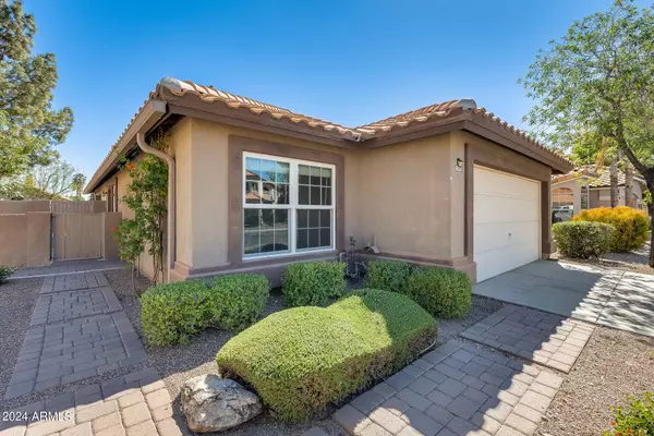 1669 S ASH Drive, Chandler, AZ 85286