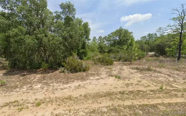 2783 W Gaucho DR, Citrus Springs, FL 34433