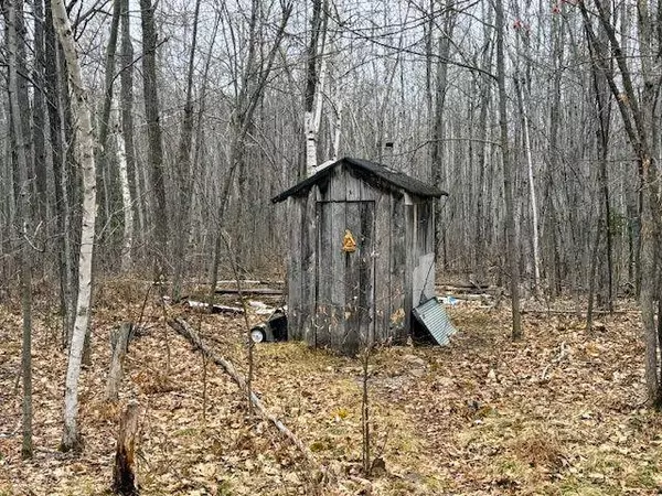 80600 Shady Pine RD, Bruno, MN 55712