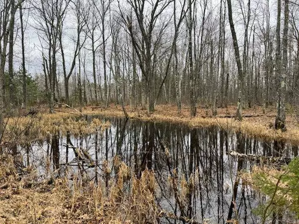 80600 Shady Pine RD, Bruno, MN 55712