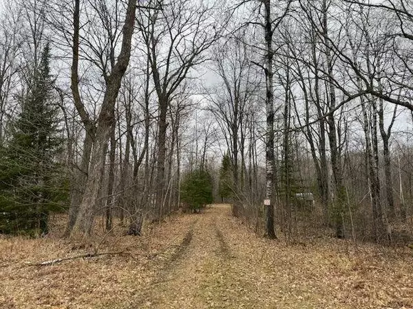 80600 Shady Pine RD, Bruno, MN 55712