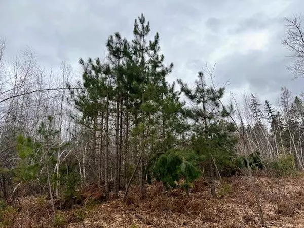 80600 Shady Pine RD, Bruno, MN 55712