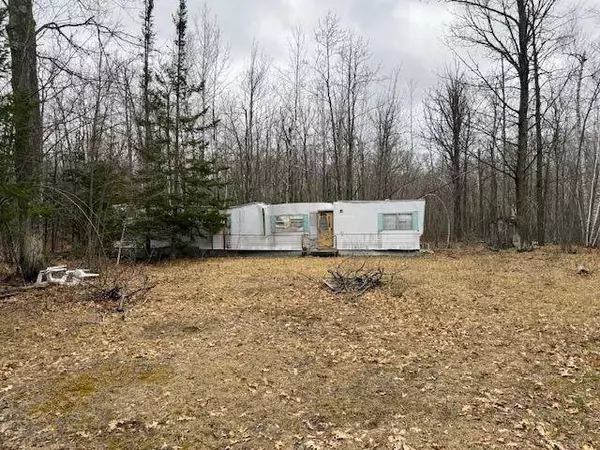 80600 Shady Pine RD, Bruno, MN 55712