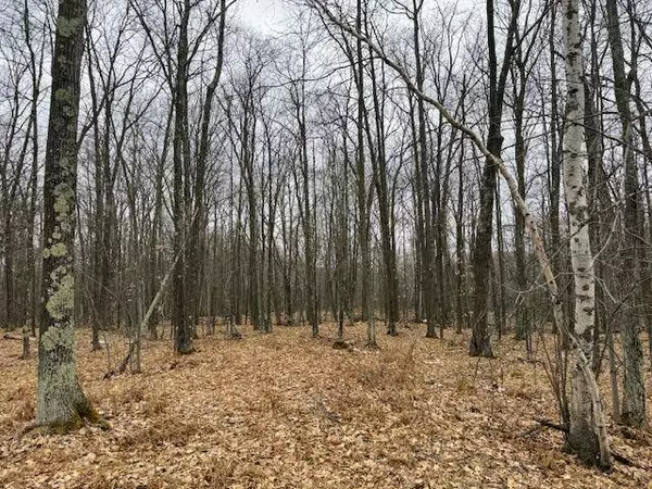 80600 Shady Pine RD, Bruno, MN 55712