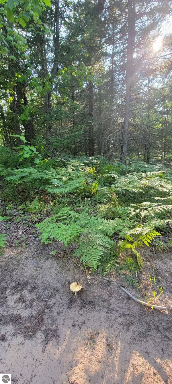 V/L 0 N Wide Waters Road 0 VL N. Wide Waters Road, Paradise, MI 49768