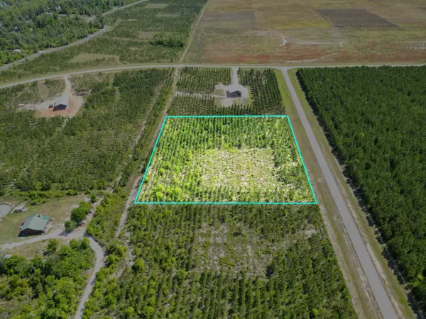 TBD SE Nadine Stone Landing Lot #2 Road, Calhoun County, FL 32449