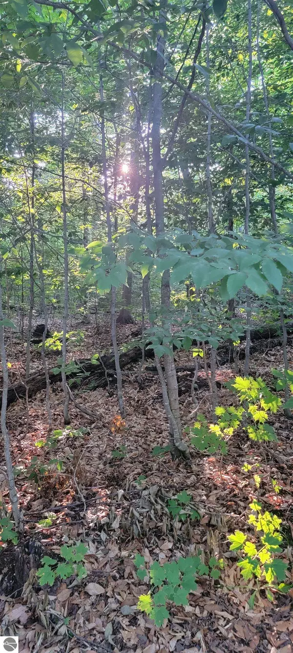 V/L 0 N Wide Waters Road 0 VL N. Wide Waters Road, Paradise, MI 49768