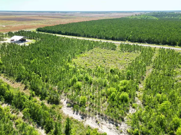 TBD SE Nadine Stone Landing Lot #2 Road, Calhoun County, FL 32449