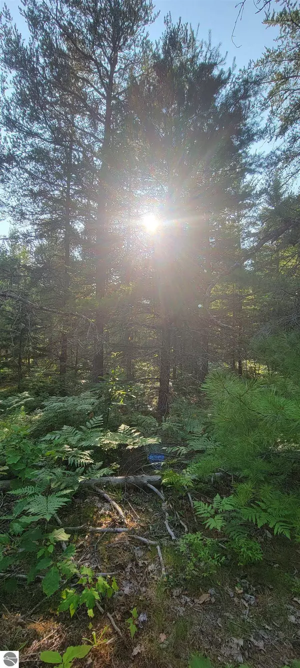 V/L 0 N Wide Waters Road 0 VL N. Wide Waters Road, Paradise, MI 49768