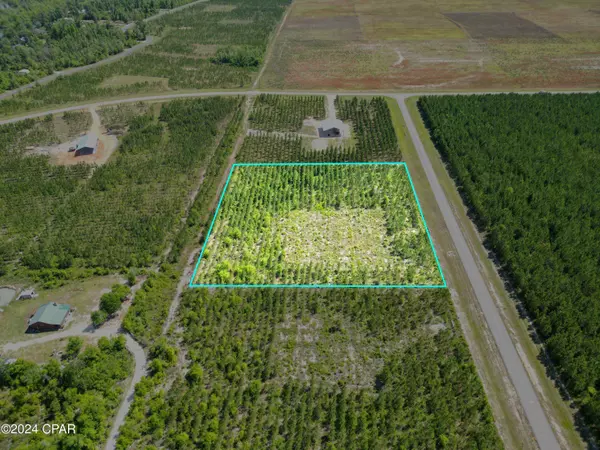TBD SE Nadine Stone Landing RD #Lot #2, Wewahitchka, FL 32449