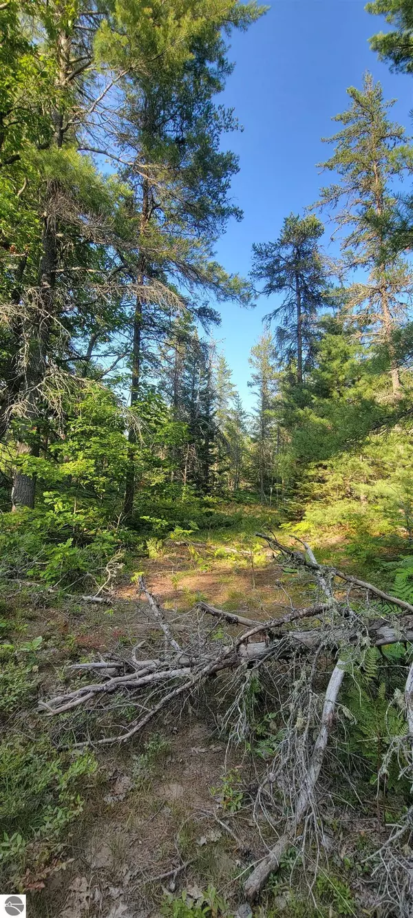 V/L 0 N Wide Waters Road 0 VL N. Wide Waters Road, Paradise, MI 49768