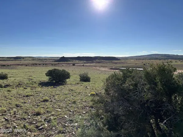 135 ACR N8521, Concho, AZ 85924