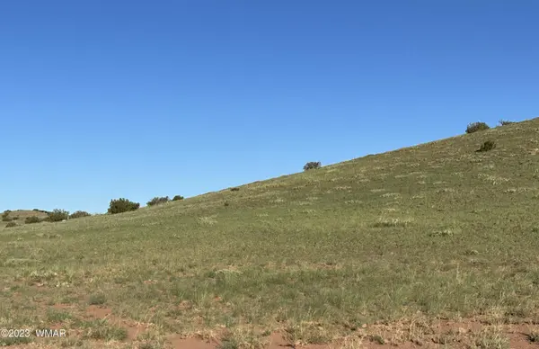 135 ACR N8521, Concho, AZ 85924