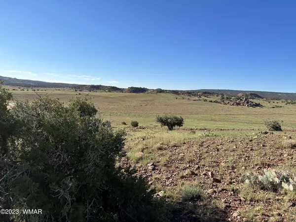 135 ACR N8521, Concho, AZ 85924