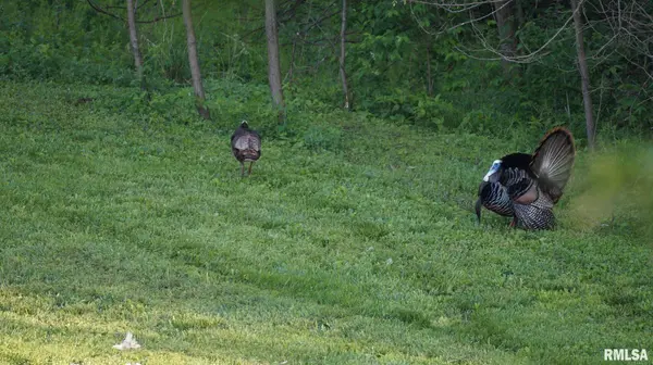 16431 WASHINGTON RD, Morton, IL 61550