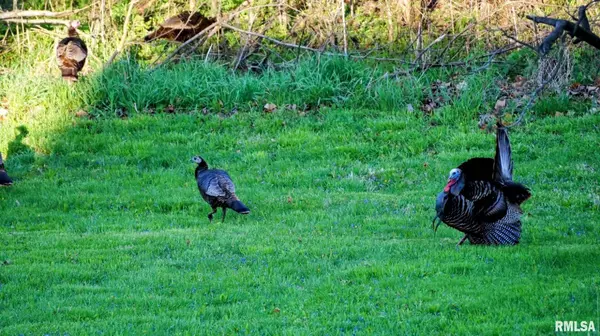 16431 WASHINGTON RD, Morton, IL 61550