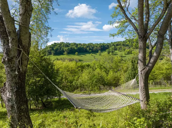 40 Hackett Valley Rd, Hickman, TN 38567