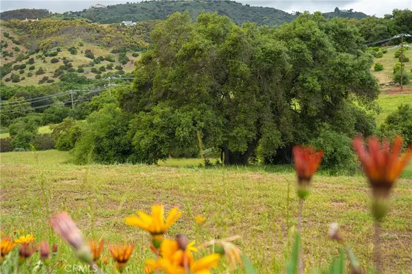 6 Camino Estribo / Via Tornado, Temecula, CA 92590