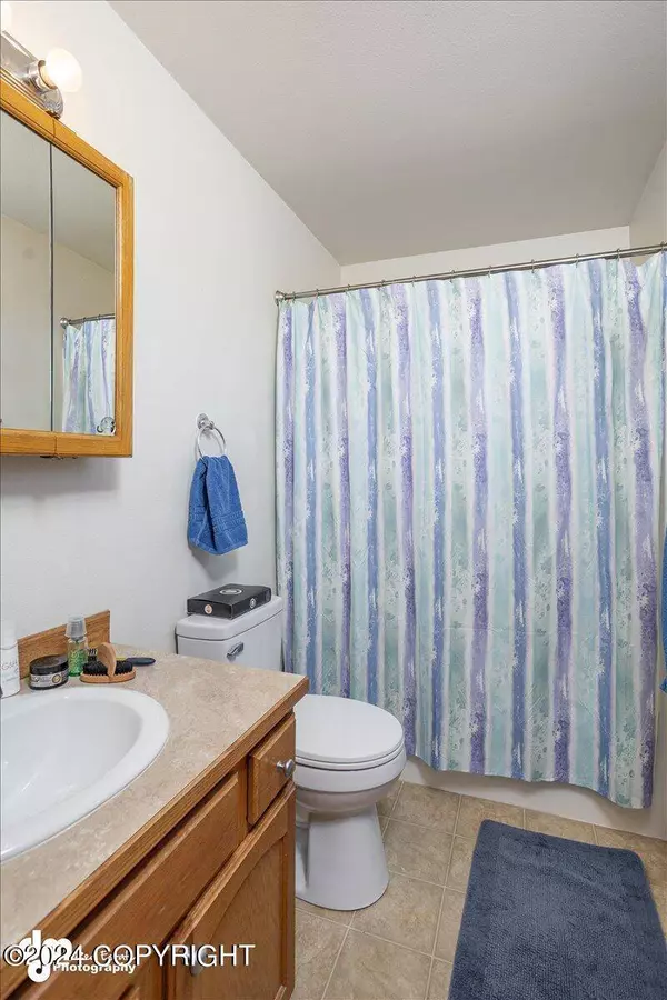 1283 S Thalo DR, Palmer, AK 99645