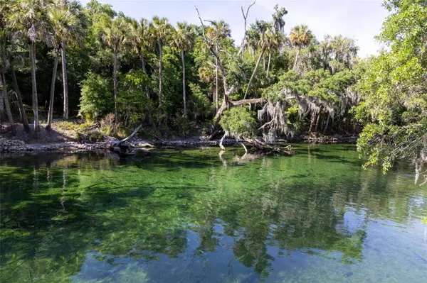 1209 RACINE RD, Orange City, FL 32763