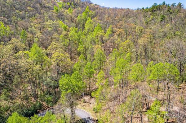 000 Pinnacle Mountain RD, Hendersonville, NC 28790