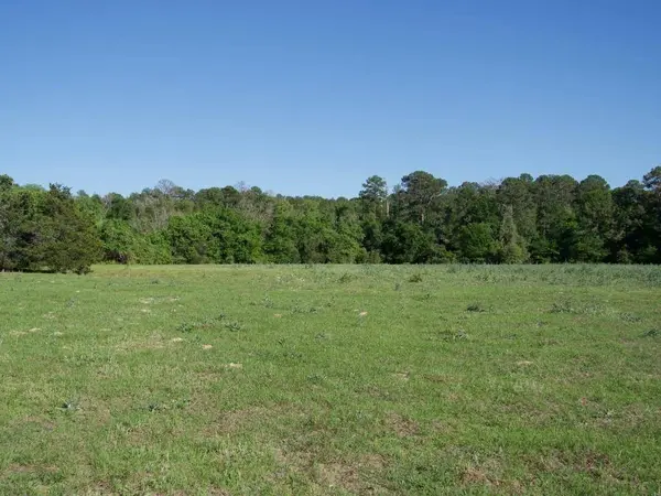 TBD Tract 8 Saint Delight RD, Paige, TX 78659