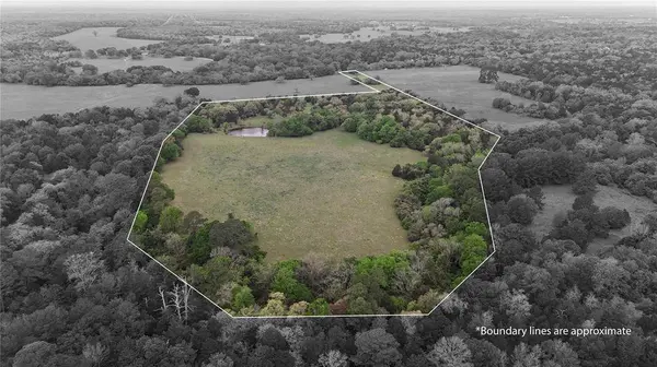 TBD Tract 8 Saint Delight RD, Paige, TX 78659