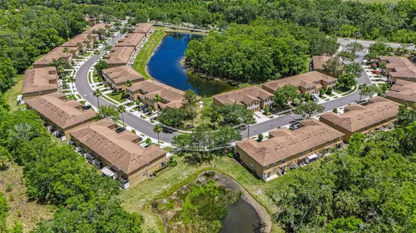 4207 WINDING RIVER WAY, Land O Lakes, FL 34639