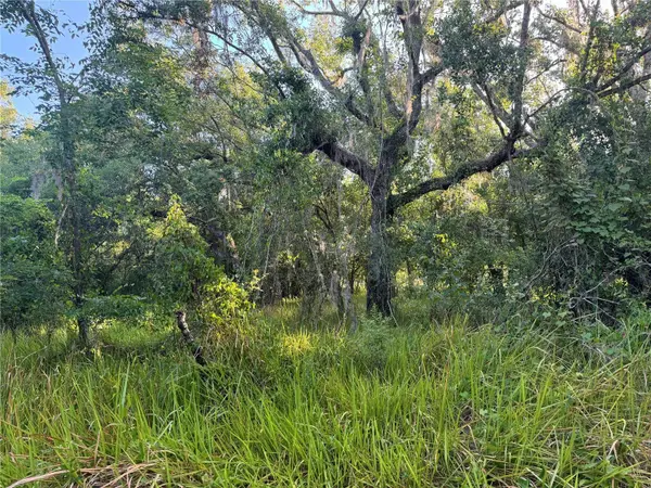 0 NE RIVER RIDGE AVE, Arcadia, FL 34266