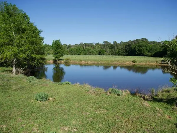 TBD Tract 8 Saint Delight RD, Paige, TX 78659