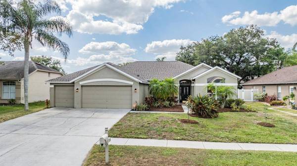 4016 LITHIA RIDGE BLVD, Valrico, FL 33596