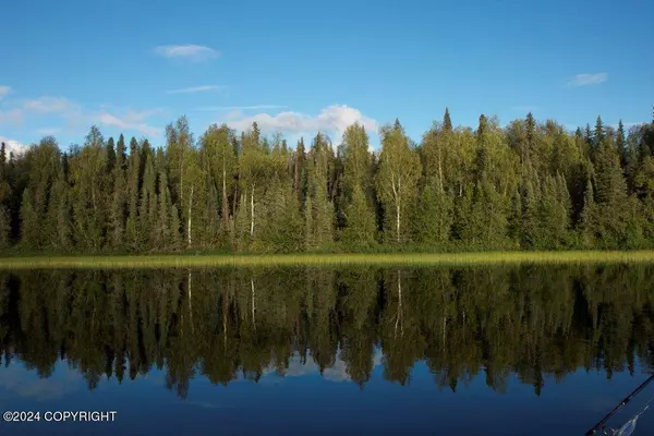 Tract P-1 No Road Red Shirt Lake, Willow, AK 99688