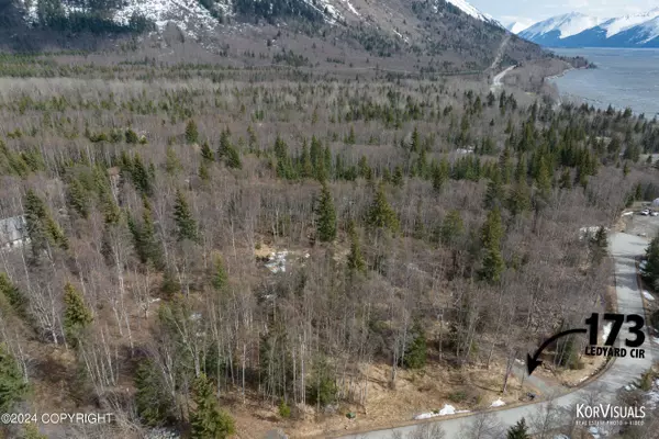 173 Ledyard CIR, Indian, AK 99540