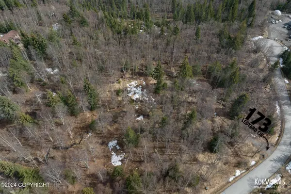 173 Ledyard CIR, Indian, AK 99540