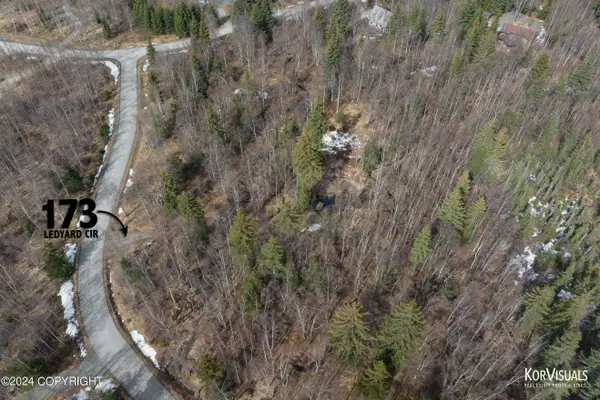 173 Ledyard CIR, Indian, AK 99540