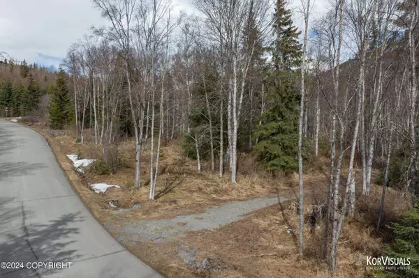 173 Ledyard CIR, Indian, AK 99540