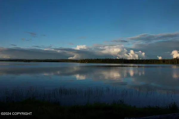 Tract P-1 No Road Red Shirt Lake, Willow, AK 99688