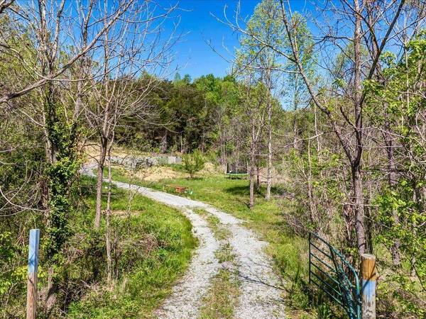 804 Webster Valley RD, Rogersville, TN 37857