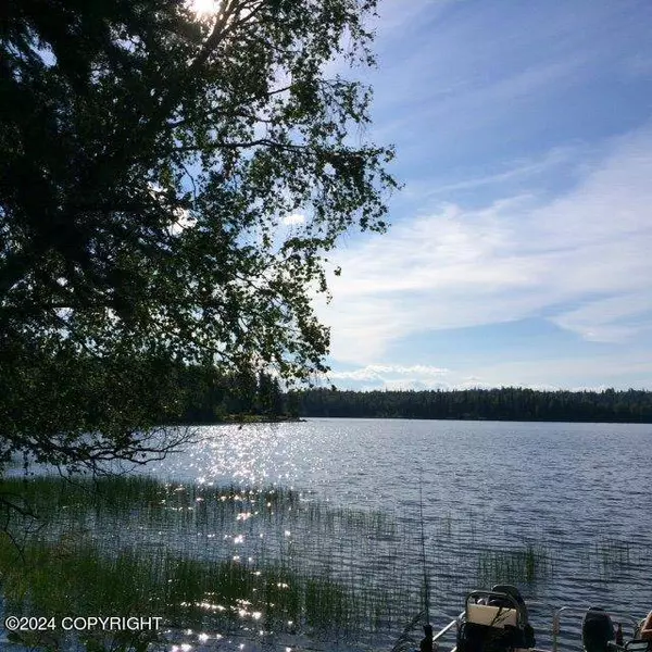 Tract P-1 No Road Red Shirt Lake, Willow, AK 99688