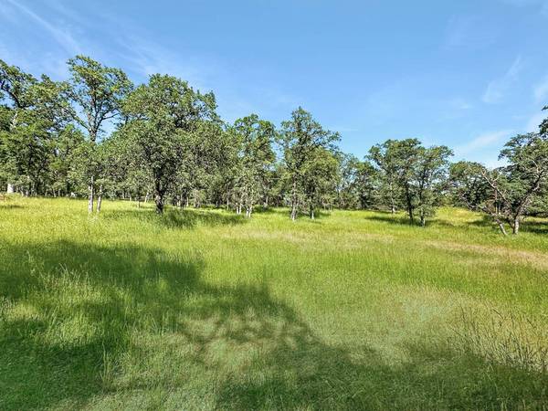 11648 Conestoga DR, Grass Valley, CA 95949
