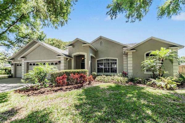 3907 ROLLING TERRACE LN, Valrico, FL 33596