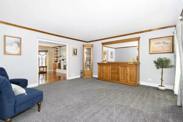 506 Dilorenzo Drive, Naperville, IL 60565