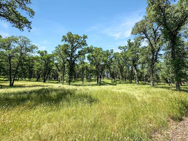 11648 Conestoga DR, Grass Valley, CA 95949