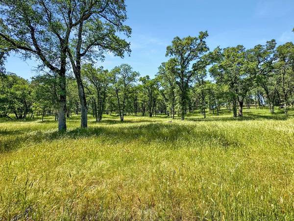 11648 Conestoga DR, Grass Valley, CA 95949