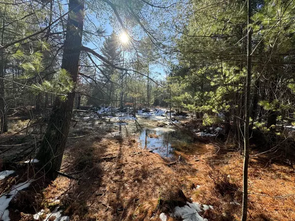 W513 Cth HH, Warrens, WI 54666