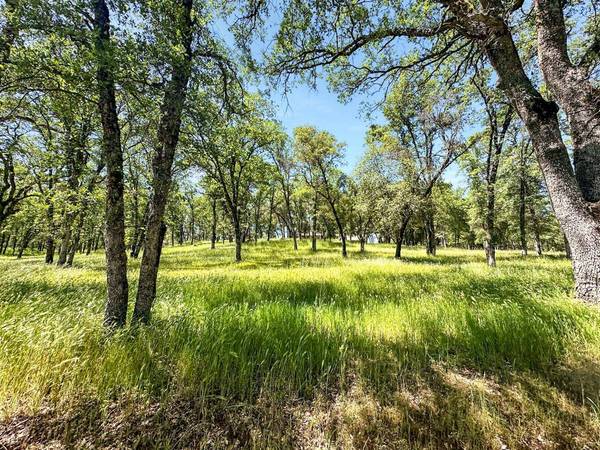 11648 Conestoga DR, Grass Valley, CA 95949