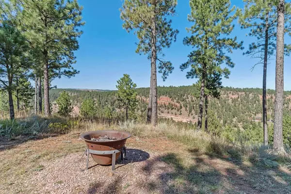 24587 Outback Trail, Hermosa, SD 57744