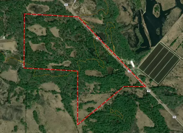 W513 Cth HH, Warrens, WI 54666