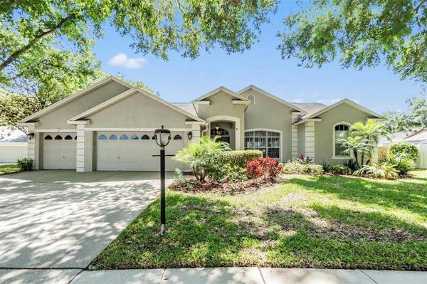 3907 ROLLING TERRACE LN, Valrico, FL 33596