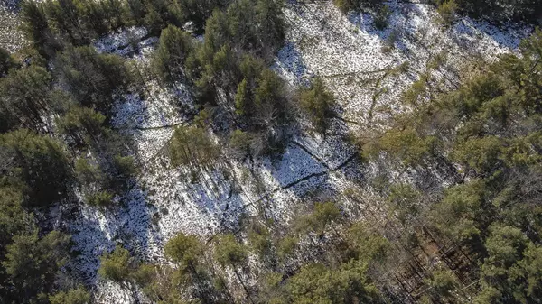 W513 Cth HH, Warrens, WI 54666